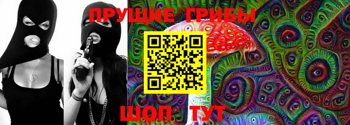 Псилоцибиновые грибы Psilocybe  Галлюциногенные грибы прущие грибы  Рославль  купить наркотик  Вход с VPN 